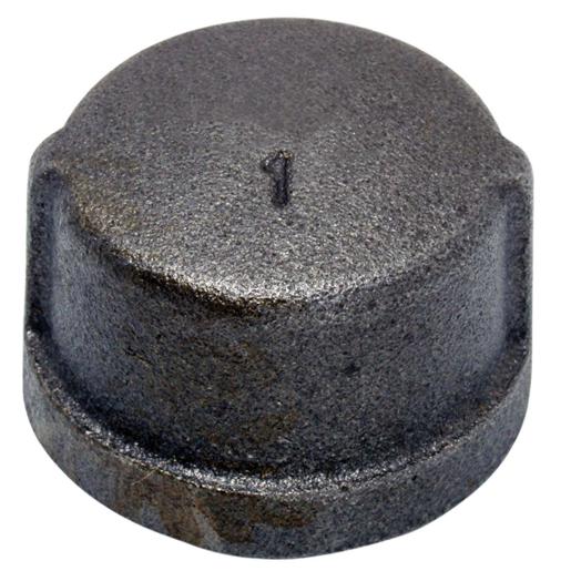 Wolverine Brass® 1/2" FIP ProSeries Black Cap