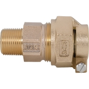 Legend Valve 313-204NL Adapter, Bronze, 3.17 in L, 3/4 in, CTS Pack Joint, 3/4 in, MNPT