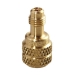 CPS® AD44LH Straight Adapter With Valve Core, Connection Size 1: 1/4 in, Connection Type 1: Female Threaded, Brass