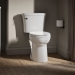Kohler® K-25076-0 Elongated Toilet Bowl, Siphon Flush, 16-1/2 in Bowl Height, Exposed, 2-1/8 in, 12 in Rough-In, White