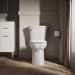 Kohler® K-25076-0 Elongated Toilet Bowl, Siphon Flush, 16-1/2 in Bowl Height, Exposed, 2-1/8 in, 12 in Rough-In, White