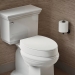 Kohler® Hyten® K-25875-0 Toilet Seat, Elongated Bowl Shape, White, Plastic, Yes, 18-3/16 in Length, 14-7/16 in Width