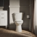 Kohler® K-31588-96 Elongated Toilet Bowl, AquaPiston®, Revolution 360 deg Flush, 16-1/2 in Bowl Height, Exposed, Biscuit