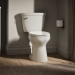 Kohler® K-31588-96 Elongated Toilet Bowl, AquaPiston®, Revolution 360 deg Flush, 16-1/2 in Bowl Height, Exposed, Biscuit