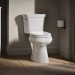 Kohler® K-80020-0 Elongated Toilet Bowl With Concealed Trapway, Class Five Flush, 16-1/2 in Bowl Height, Concealed