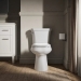 Kohler® K-80020-0 Elongated Toilet Bowl With Concealed Trapway, Class Five Flush, 16-1/2 in Bowl Height, Concealed