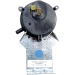 PROTECH™ 42-101233-81 Pressure Switch, Use With: Model RGDG, RGDJ, RGLH, RGLJ and RGLK Gas Furnaces